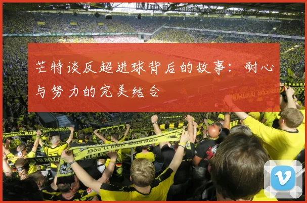 芒特谈反超进球背后的故事：耐心与努力的完美结合