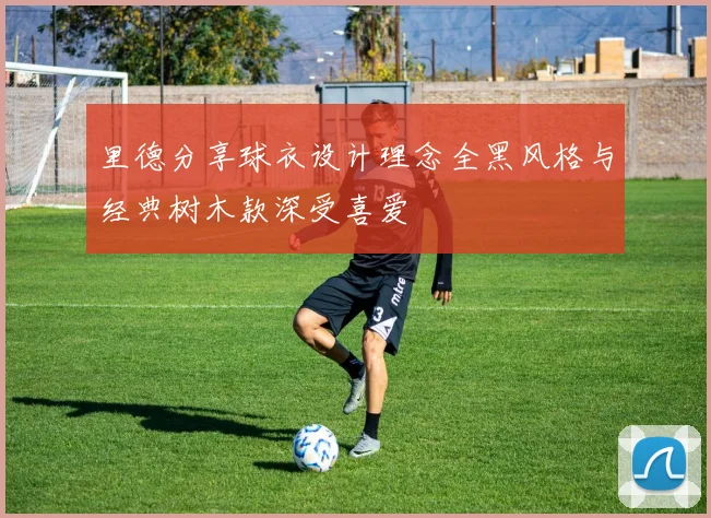 里德分享球衣设计理念全黑风格与经典树木款深受喜爱